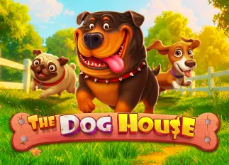 The Dog House naza24